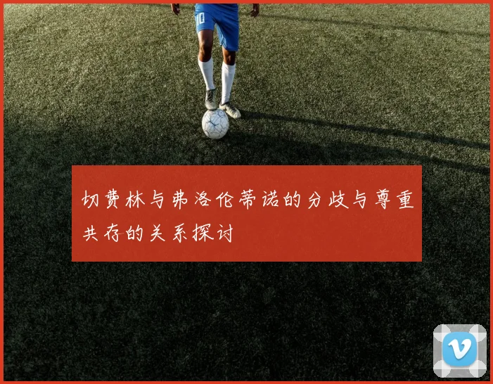 切费林与弗洛伦蒂诺的分歧与尊重共存的关系探讨