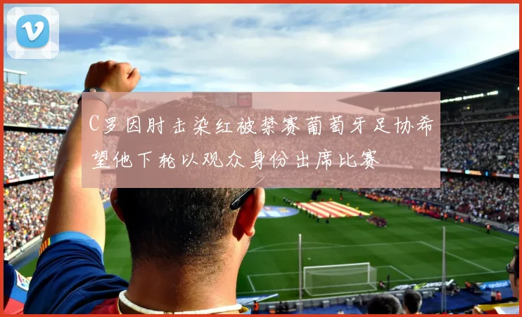 C罗因肘击染红被禁赛葡萄牙足协希望他下轮以观众身份出席比赛
