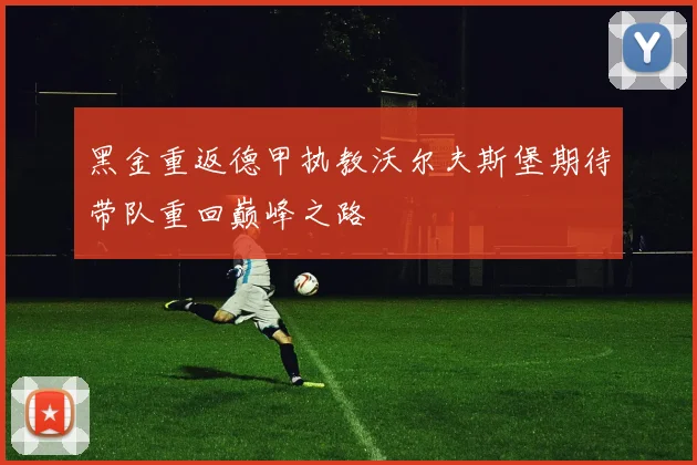 黑金重返德甲执教沃尔夫斯堡期待带队重回巅峰之路